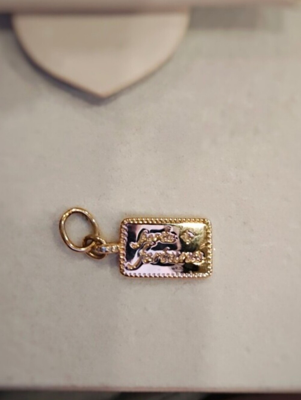 Melanie Auld Gold Vermeil Taglia Necklace Charm Forte Fortuna Pendant
